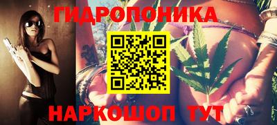 соль ск Моздок