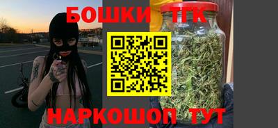 соль ск Моздок