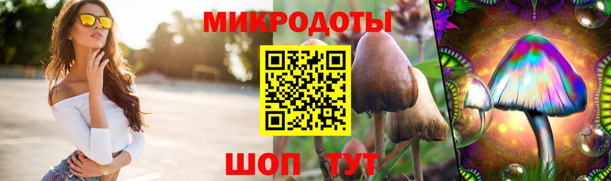 Галлюциногенные грибы Psilocybine cubensis  Вход с VPN  где продают   Топки 